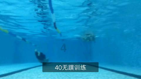 虫虫助手下载